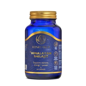 Himalayan Shilajit 60's